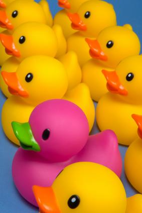 Ankkalammikon erilainen ankka Ankkalammikko rannalta katsoen