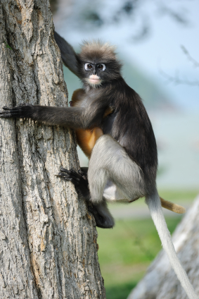 Vuoden luetuin blogi: in Finland we have this thing called hurri