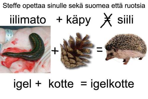 1604756_878602632184347_8579715650426186917_n