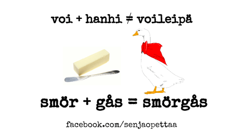 479703_878135348897742_78032511157344057_n